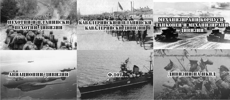 дивизии
